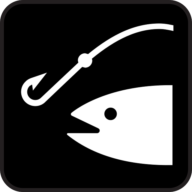 image du logo poisson en png